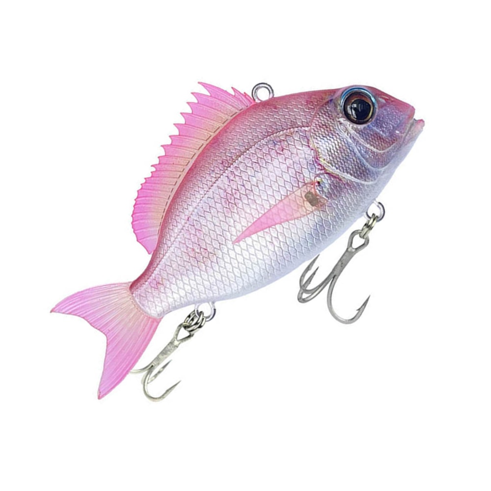 image_b47e9ef8-244b-49a1-847e-6d4a682bd10c