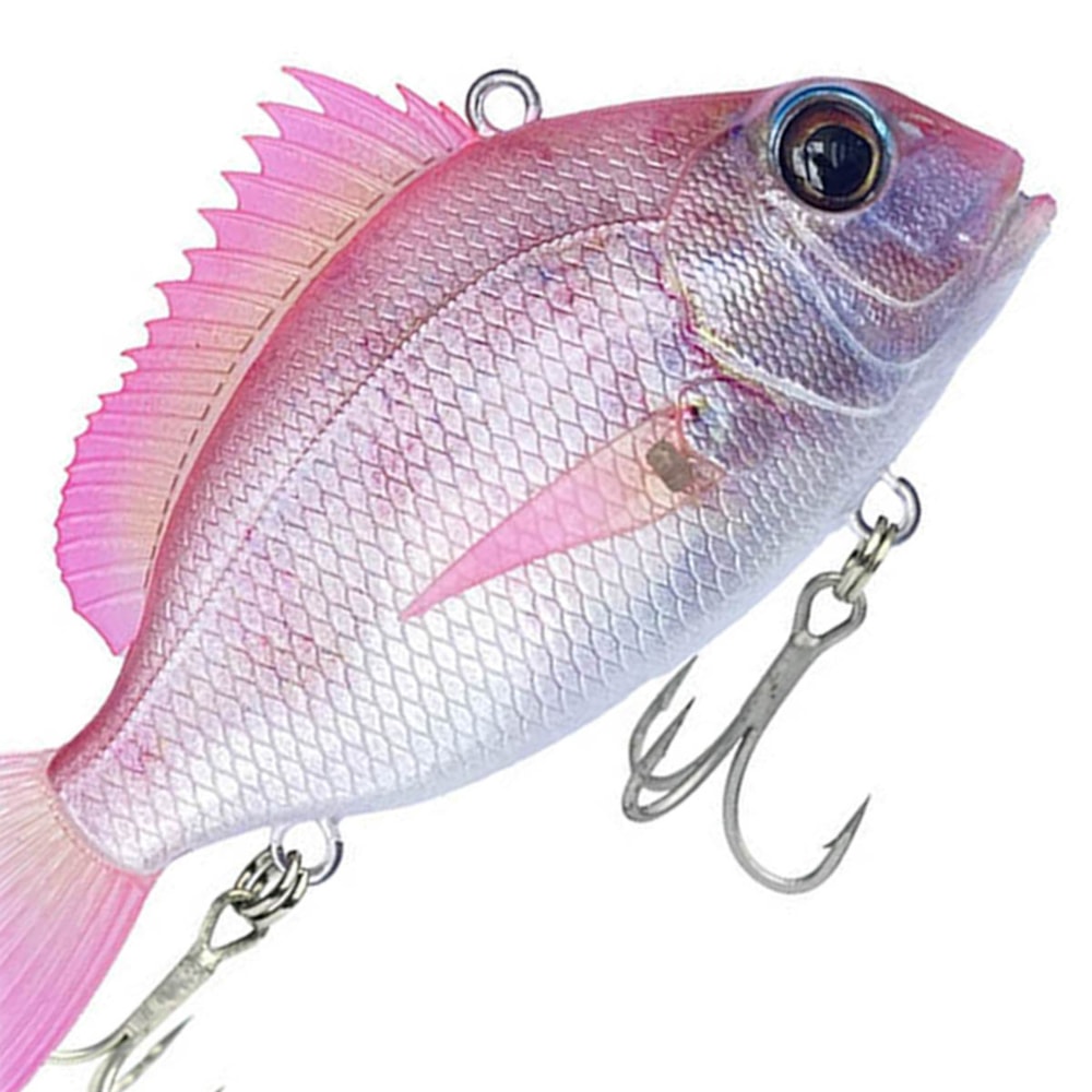 image_0731db48-da7c-40c1-90a6-23d23d22dc8d