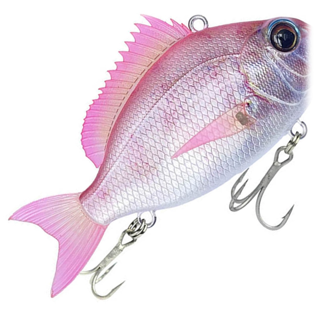 image_88c92662-64da-4176-ae34-20e209e3e614