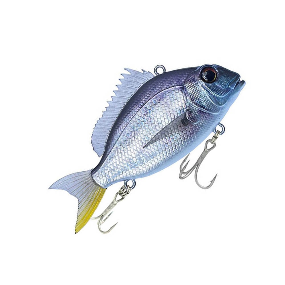 image_2de71d2f-f72f-491b-a1a1-e810cc39c429