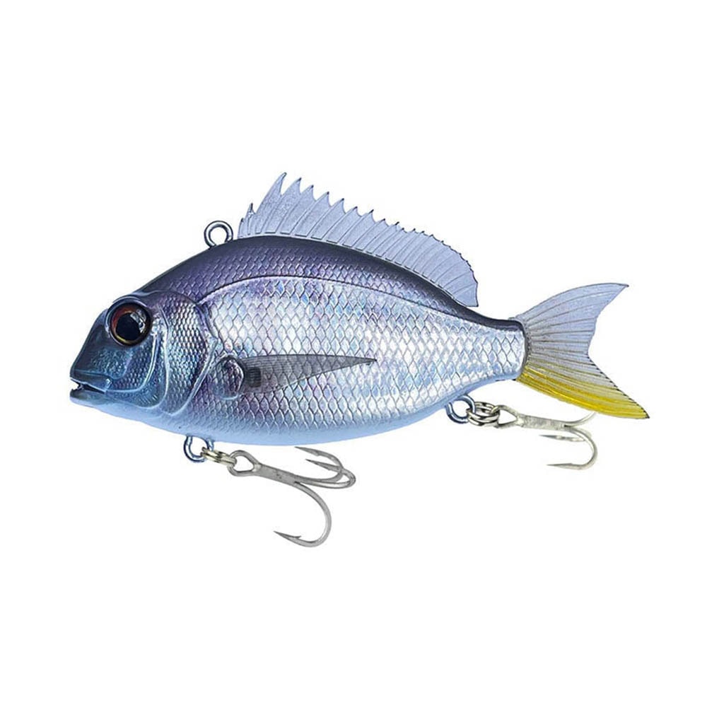 image_fa5408f8-859c-40ef-8d38-4cb3b6874ca1