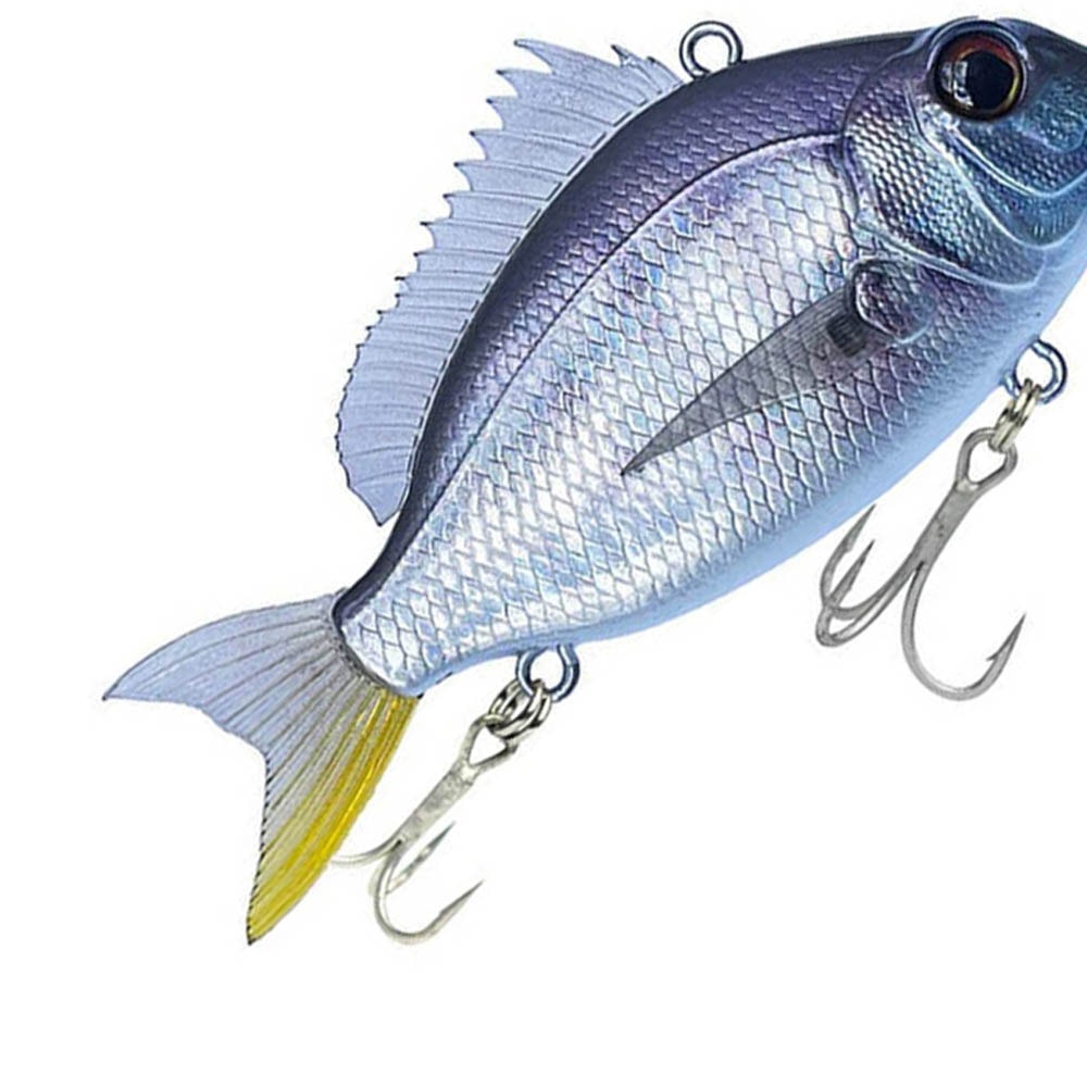 image_071a53f4-8441-4e82-a2b7-1e7a6213d22b