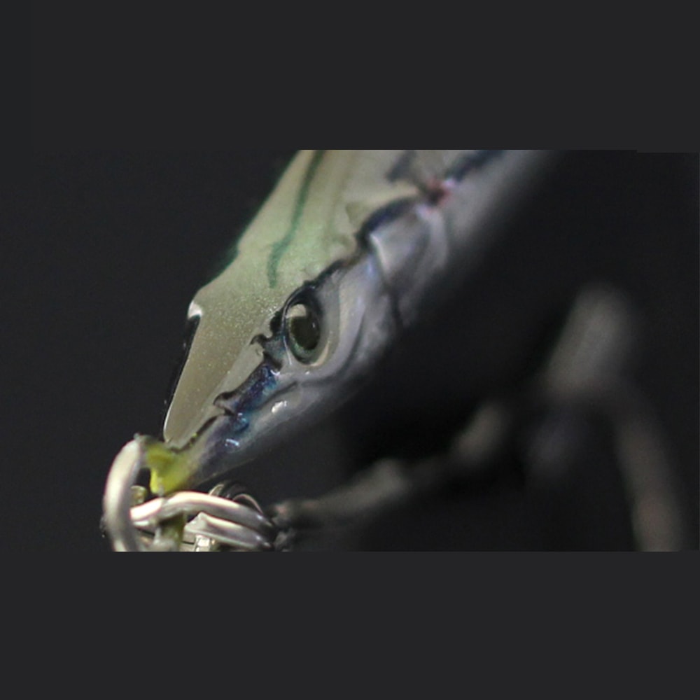 image_b977df47-7eb9-4a1f-b625-fa3da69a46cb