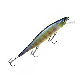 Isca Lucky Craft Pointer 110SP Be Gill