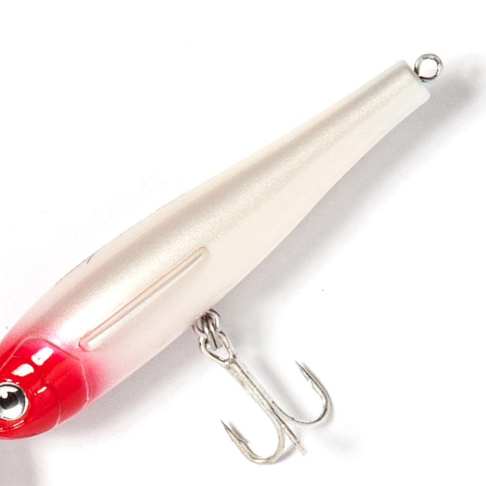 image_82afc025-ee77-48d2-ae03-2200c3d5c4a8