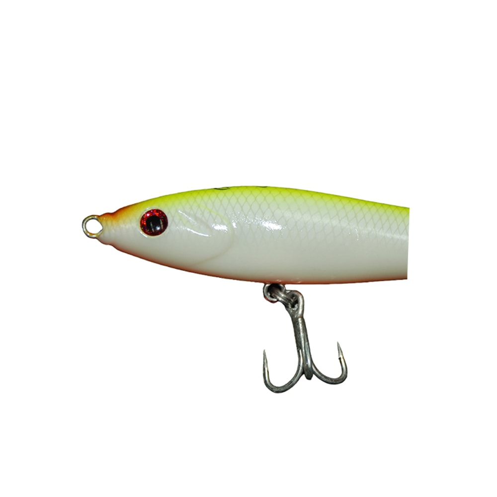 image_a295be44-8e37-4bb8-ae0a-30252184d7e8