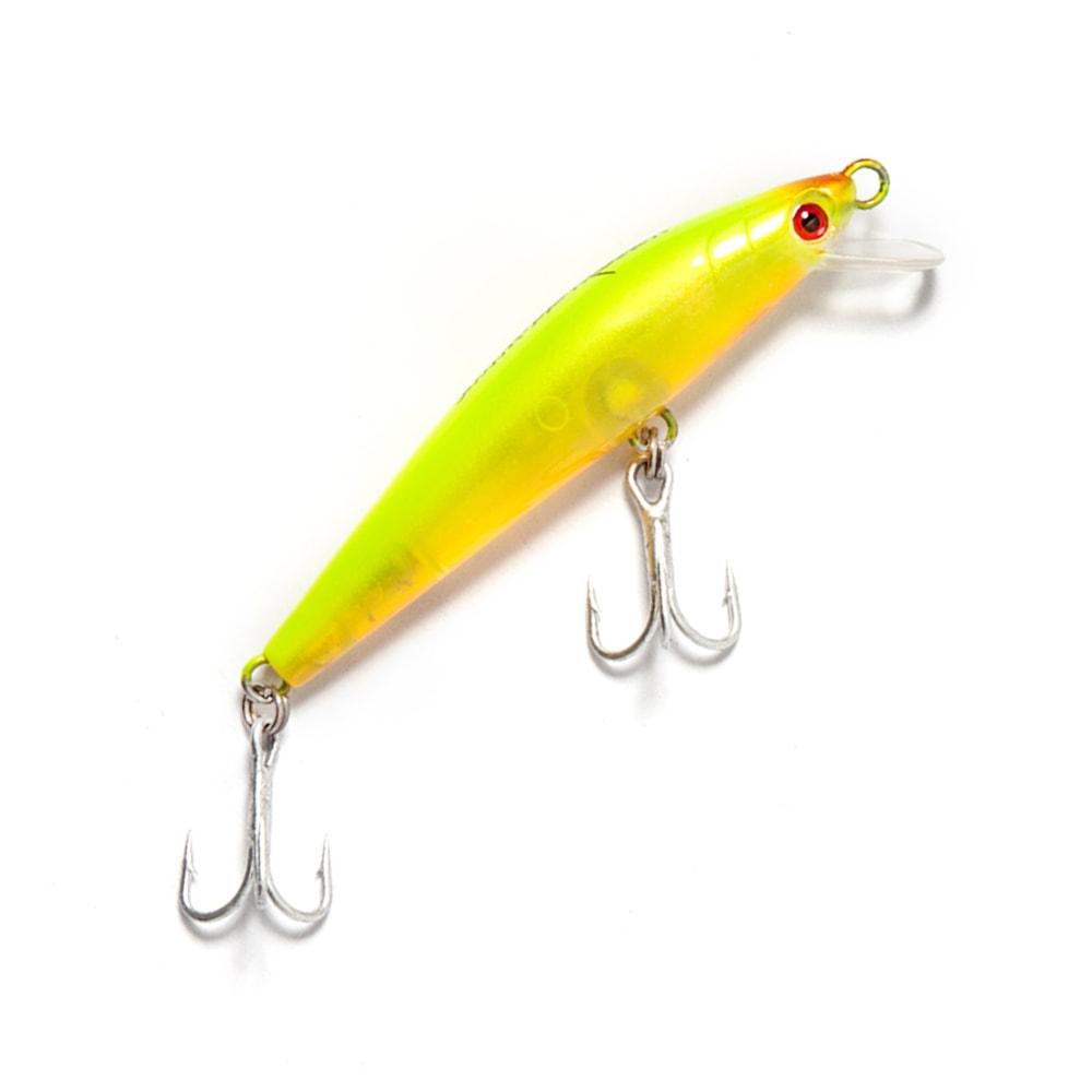 image_06b93c8d-db95-4f56-8eda-eff23de6948f