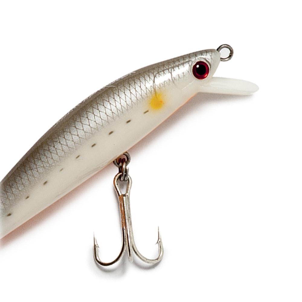 image_1262837c-b9d4-41c5-b61f-5e994da17490