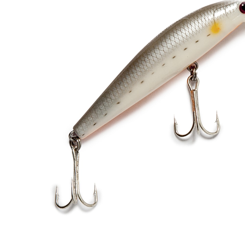 image_2616eafd-ec6f-4c1f-bab9-8d39cce5089c