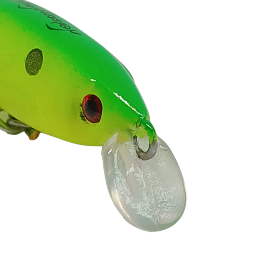 image_c232b9aa-75e4-4c1e-9cd6-5838939eee12