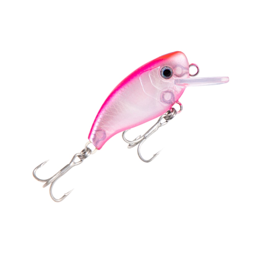image_157edc12-bff7-4ee7-9dd0-2e8443a1ae8b