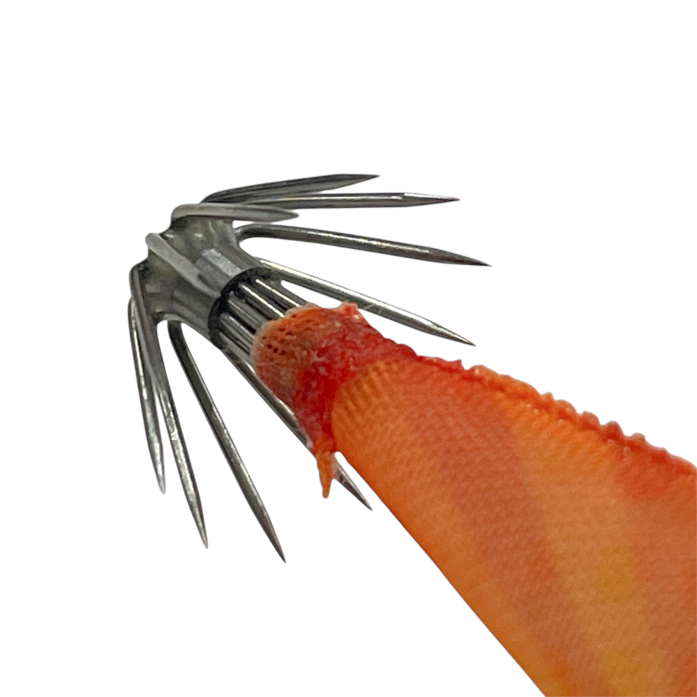 image_56ecc2b8-30d9-49ed-a932-754a90f3582f