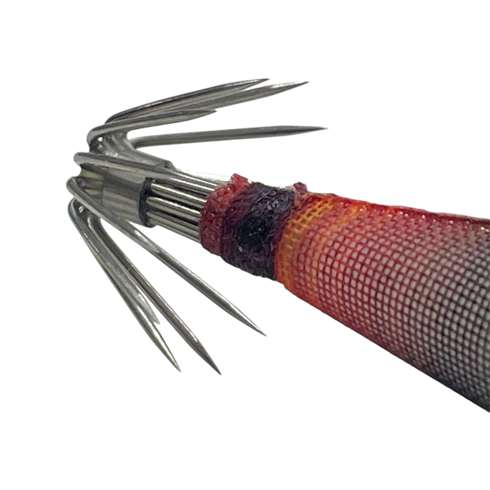 image_a2681870-c687-4607-aecf-6a894195971b