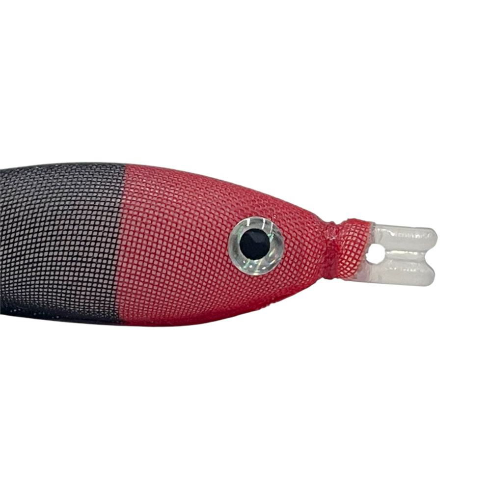 image_76a840c8-2f40-403b-bf39-b42d10bbd1d0