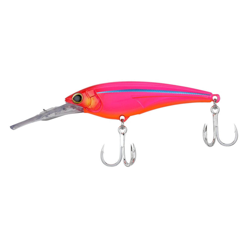 image_d8d18a98-4ded-4295-a6b2-0e8985cd1d66