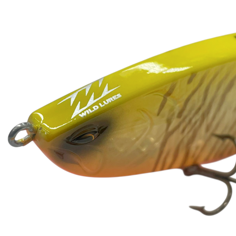 image_472a7fe9-6b30-4380-83a5-525b64d4bd02