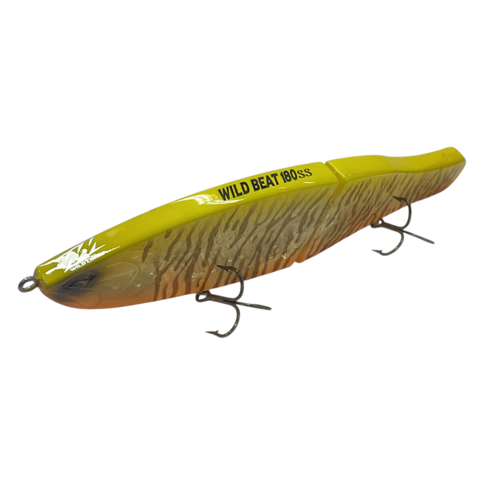 image_cd8b8d26-cfe7-4d1b-b9e3-977bc5519cc7