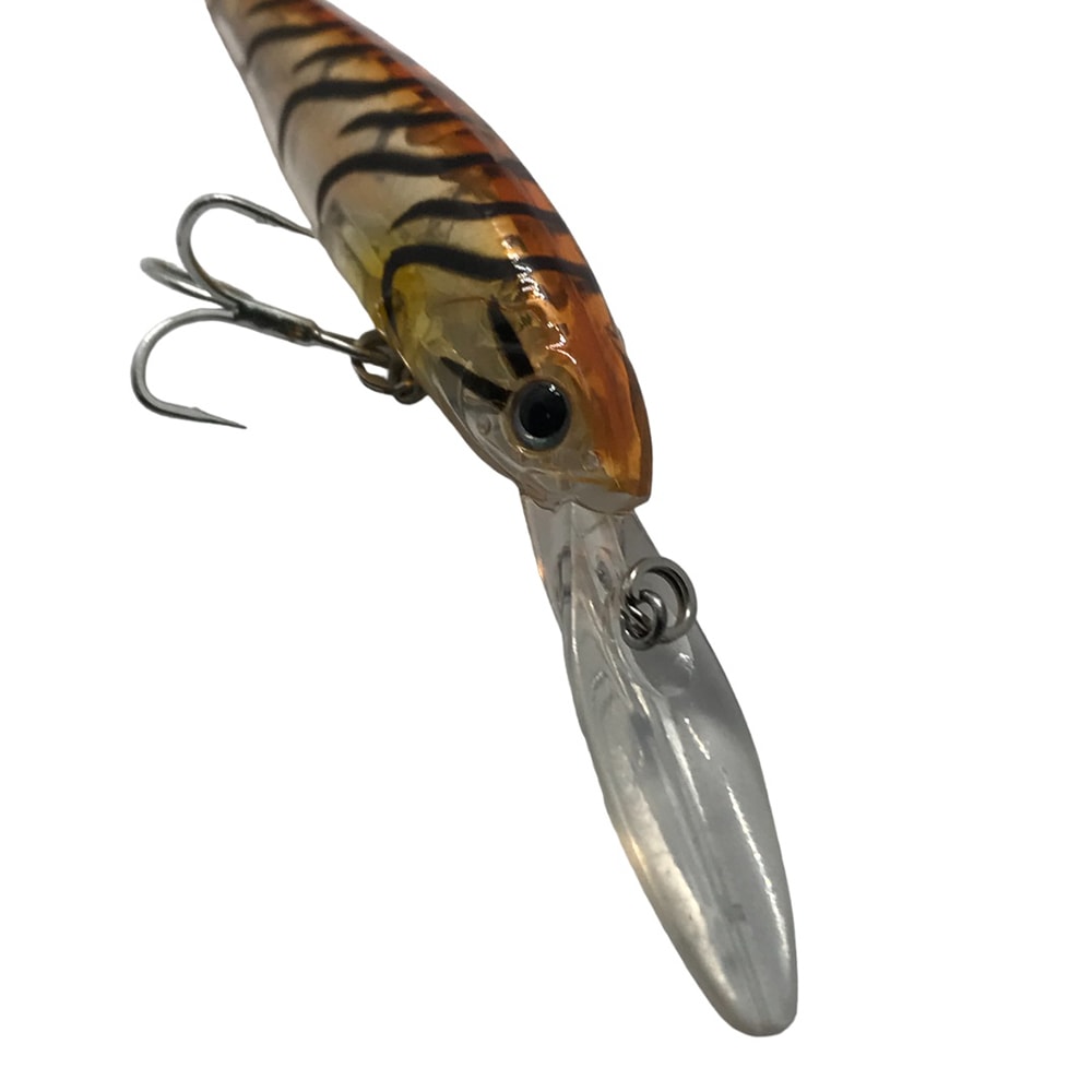 image_f4ad97fb-cd61-4431-9b8c-7c0ae81e0d1c