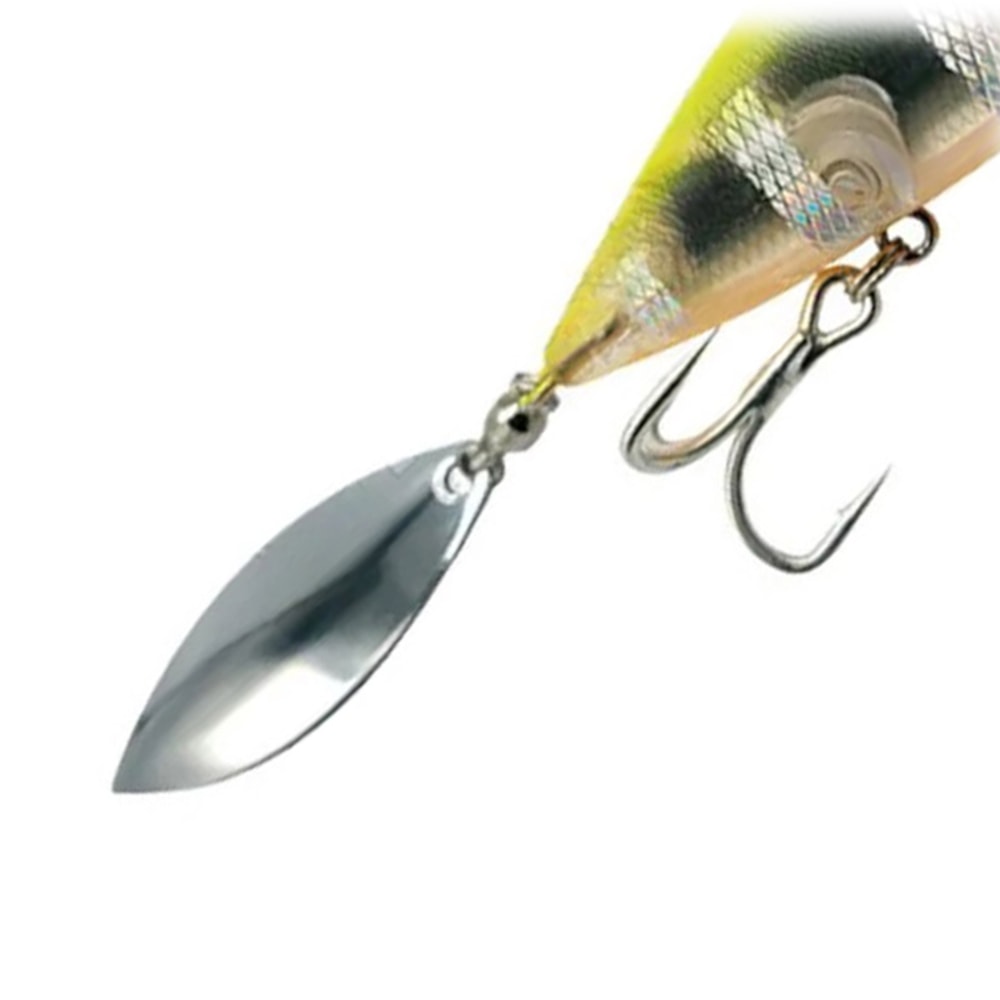 image_de6cfb66-3357-42cc-b0e3-02dd296360ab