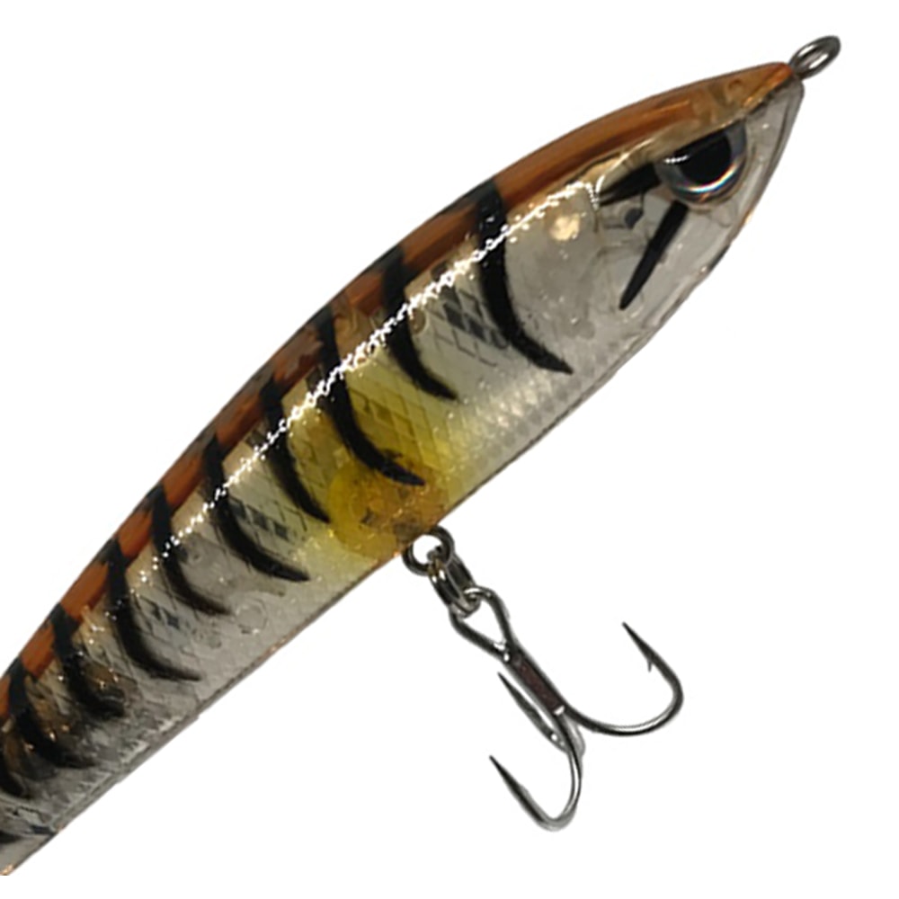 image_7465de66-2b17-4b1d-8692-d9065c0cfc28