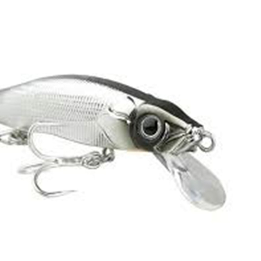 image_533bc364-ea1b-486e-989f-a5449910e0f8