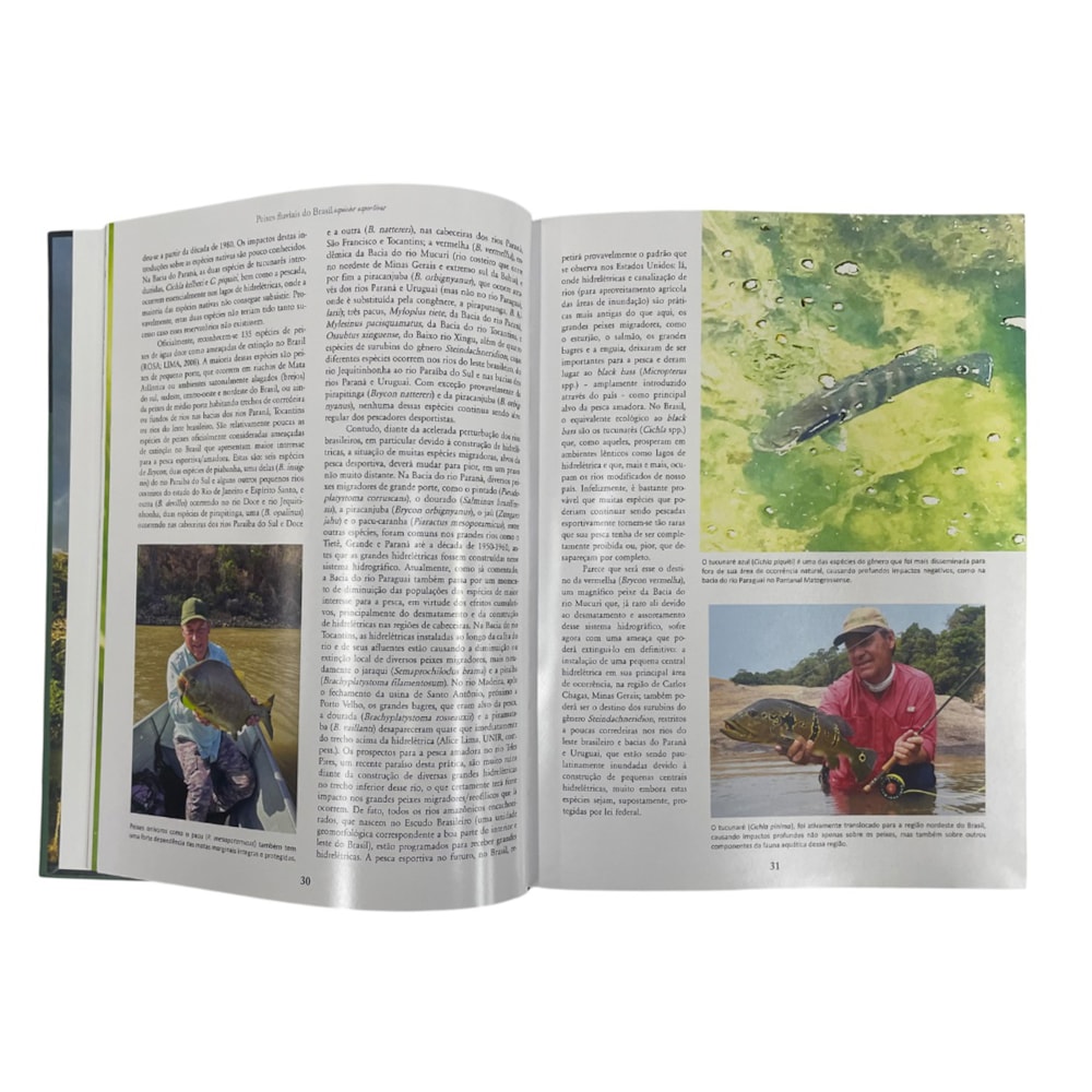 image_02eb6e25-31cc-434a-b739-7284795ee5c8