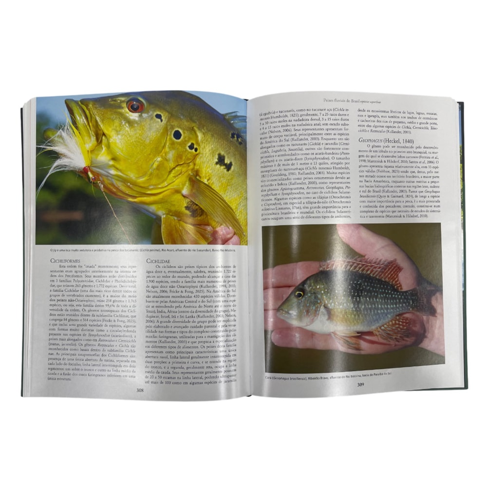 image_031e17b1-b040-4a39-9f90-89a6d4c5daab