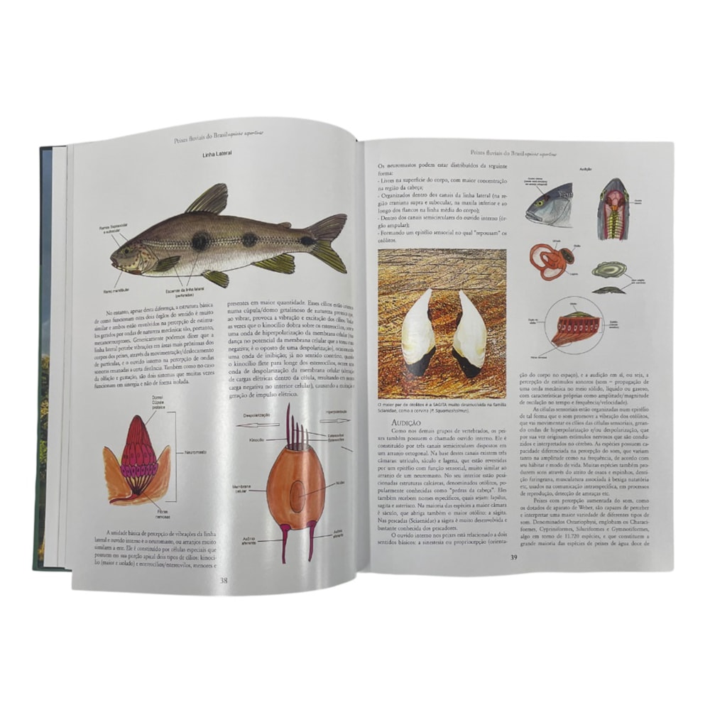 image_49e227a6-8f16-40e6-bc9b-9cc131954e61