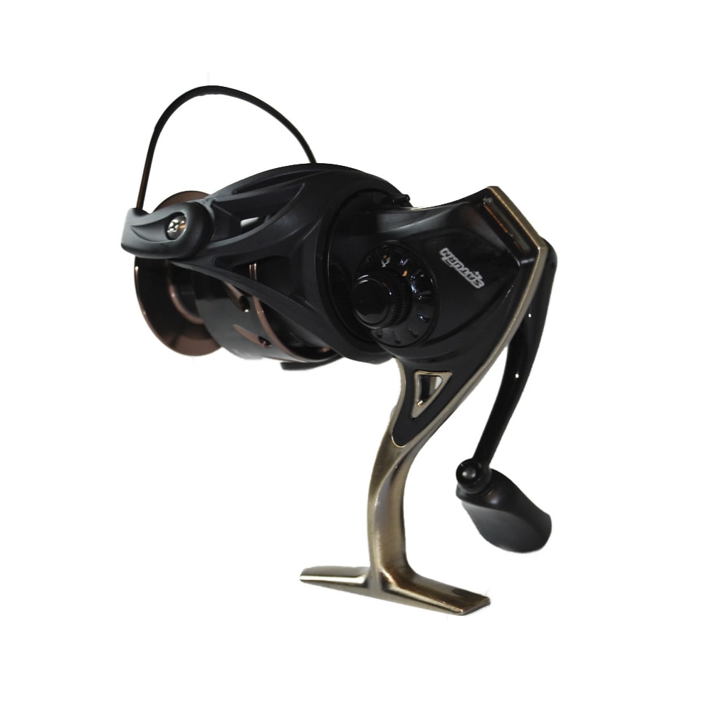 image_8f6f2554-1896-47dd-9008-be234e398735