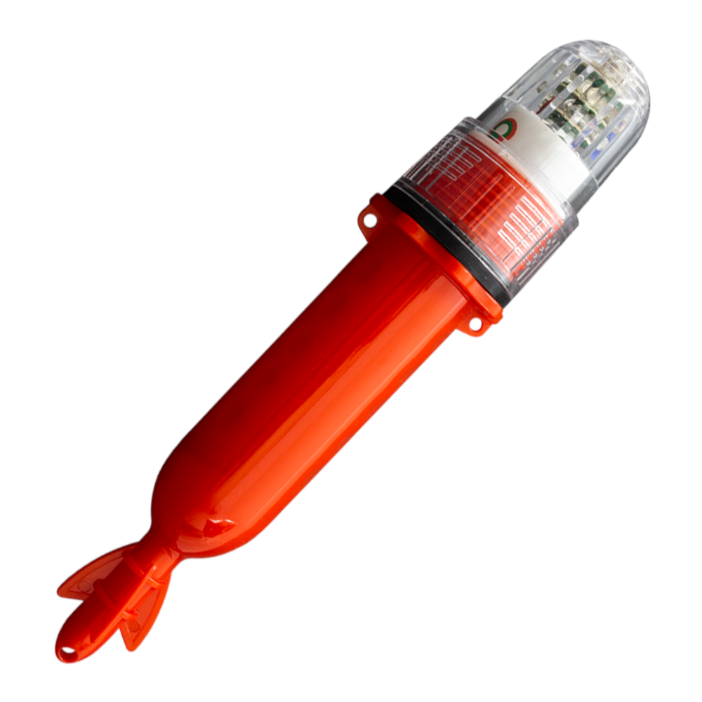 image_10c9d78c-c41f-4b20-abe9-fc1d6c49707d