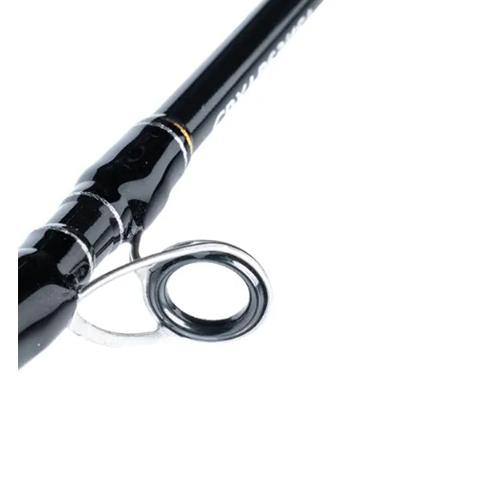 image_dc1806f3-d804-4c6e-99d7-fb58cecb797e