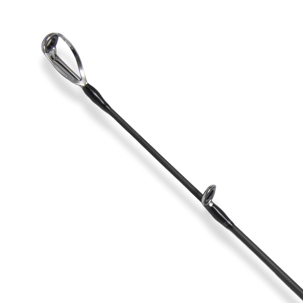 image_fe727633-2998-47d1-a5b9-bfd68ce19e5d