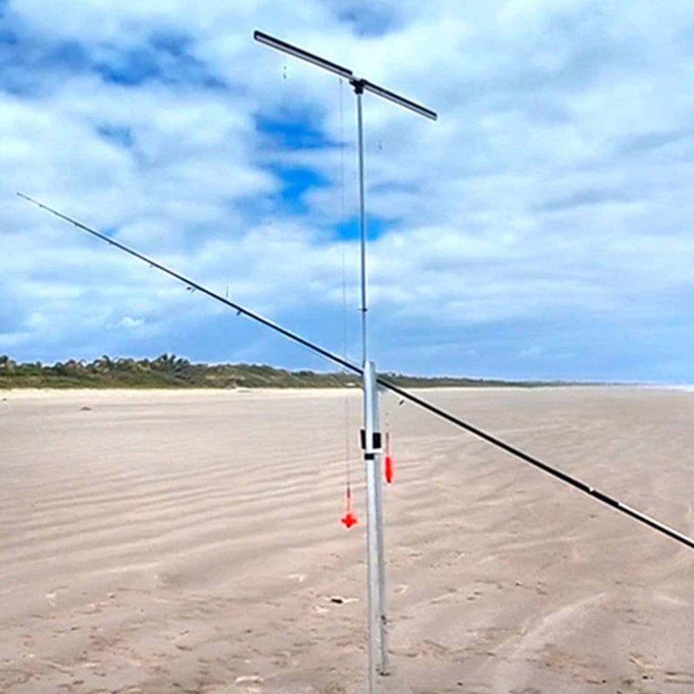 image_895aaa0f-3dcc-40f8-81c9-6840d726e02b