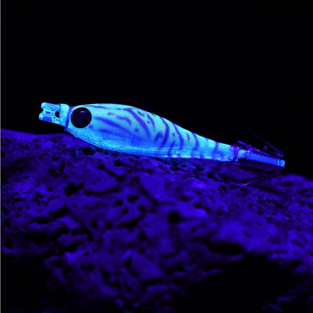 image_1cfece38-c462-4d0d-b88b-e1ff79a82c01